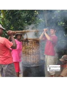 50 Vanilla Beans Bourbon Madagascar - Gourmet, Prime,... 2