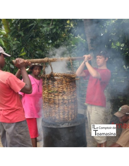 50 Vanilla Beans Bourbon Madagascar - Gourmet, Prime, Grade A1