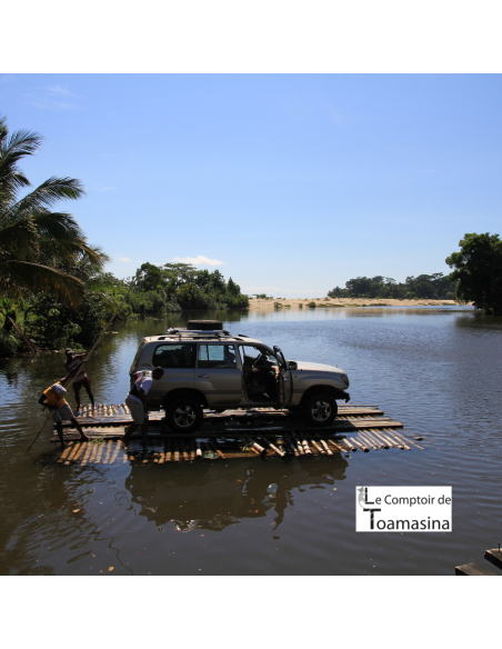 2 Madagascar's Bourbon Vanilla Beans
