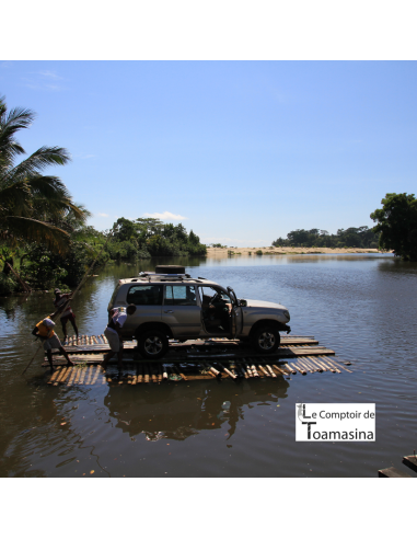 Vanille Bourbon de Madagascar -  18 à 23 cm -...