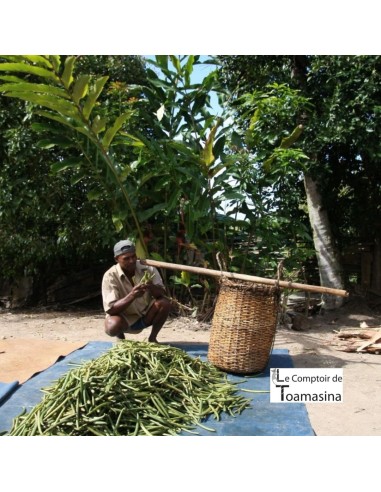 50 gousses de vanille bourbon de Madagascar