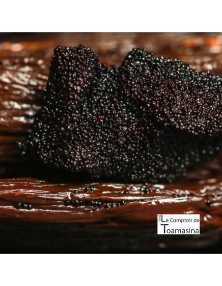50 Vanilla Beans Bourbon Madagascar - Gourmet, Prime, Grade A1
