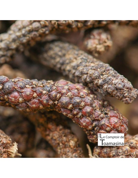 Pimenta Longa, Pimenta Java