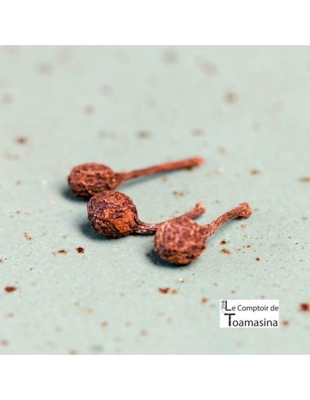 Pimenta Selvagem  Voatsiperifery