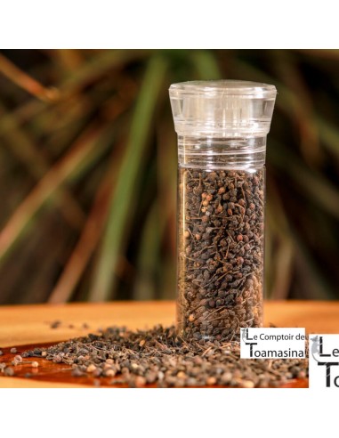 Wild Pepper Voatsiperifery