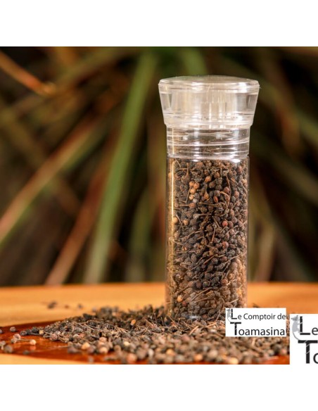 Wild Pepper Voatsiperifery