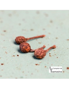 Wild Pepper Voatsiperifery  - Grinder 2