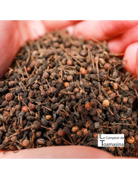 Pimenta Selvagem  Voatsiperifery com Moedor