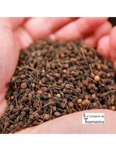 Pimenta Selvagem  Voatsiperifery com Moedor