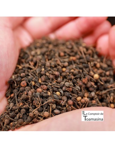 Wild Pepper Voatsiperifery at Kilo