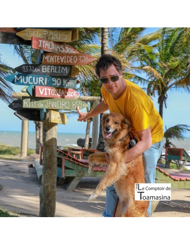 Poivre Noir de Madagascar Entier au Kilo