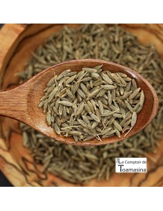 Cumin Graines ou Poudre