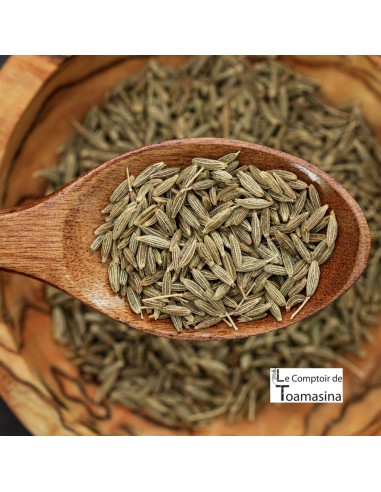 Cumin Seeds or Powder