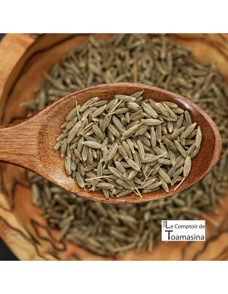 Cumin Seeds or Powder