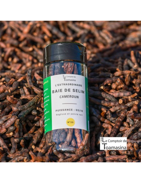 Baie de Selim - Moulin