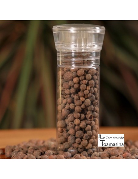 Piment de la Jamaïque - Moulin