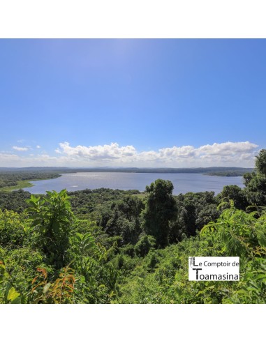 Pimenta da Jamaica - Moedor