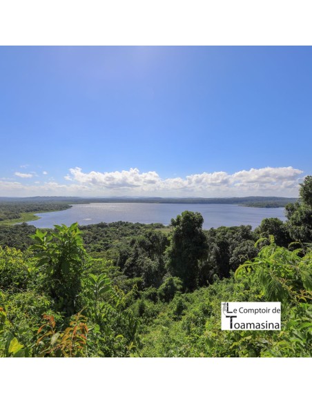 Pimenta da Jamaica - Moedor