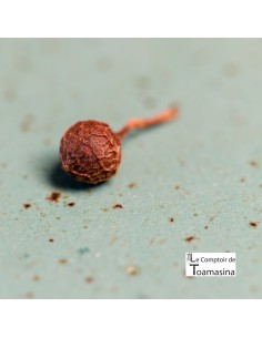 Pimenta Cubèbe com Quilo
