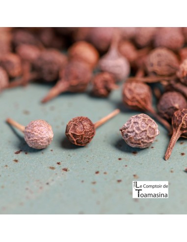 Pimenta Cubèbe com Quilo