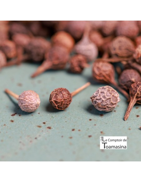 Poivre Cubèbe au Kilo