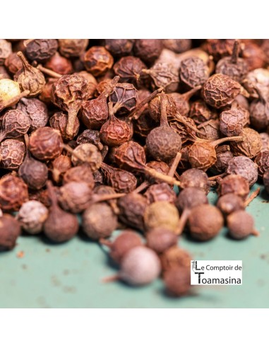 Cubèbe Pepper with Kilo