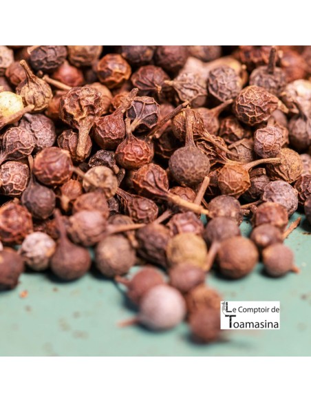 Pimenta Cubèbe com Quilo