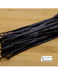 Vanille Tahitensis de Papouasie