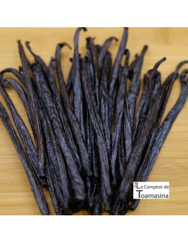 Papua Tahitensis vanilla