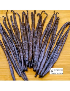 Vanille Planifolia de Papouasie Nouvelle-Guinée