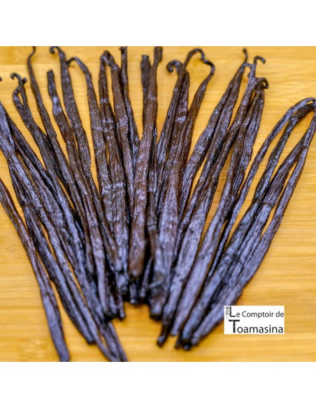 Vanilla Planifolia from Papua New Guinea