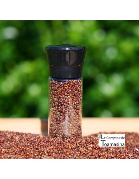 Maniguette - Seed of Paradise - Moedor