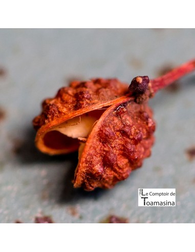 Red Sichuan Pepper - Grinder