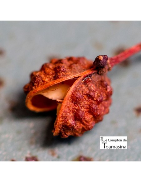 Pimenta Vermelha Sichuan - Moedor