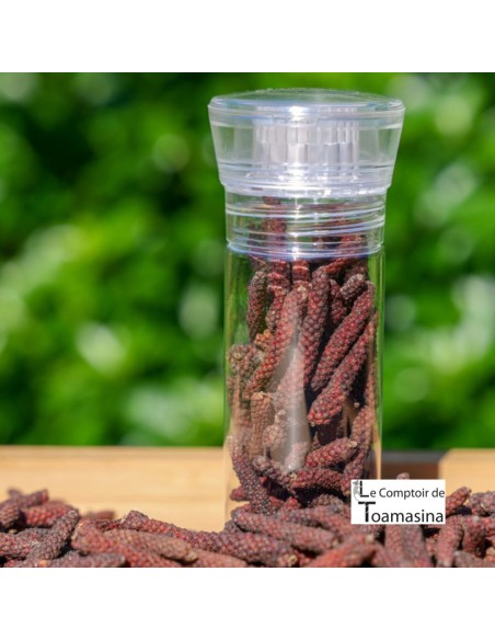 Long Red Pepper Cambodia Grinder