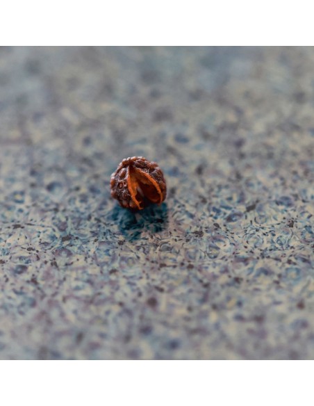 Caixa Pimenta do Mundo com Moedor