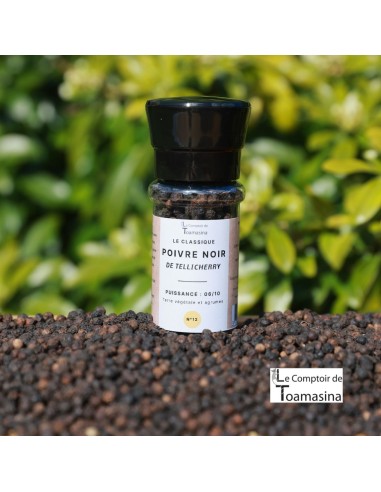 Box Pepper of the World in Mill