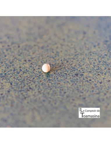 Pimenta Branca Kampot IGP - Moedor