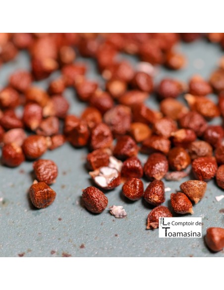 Maniguette - Seed of Paradise - Moedor