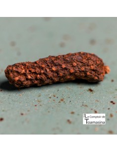 Pimenta Longa - Moedor 2