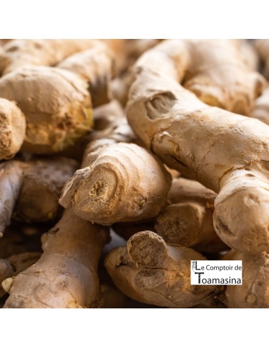 Gingembre en Poudre