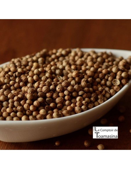 Coriander - Seeds