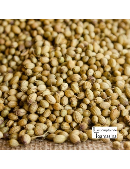 Coriander - Seeds