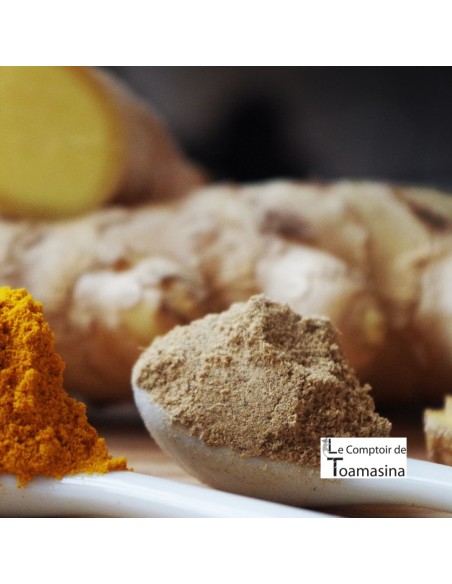 Pó de raiz de galanga (Tailândia)