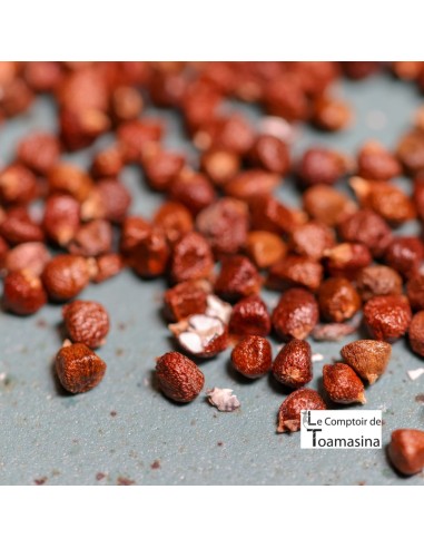 graine de poivre de maniguette