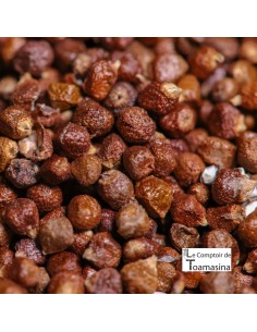 Maniguette - Seed of Paradise