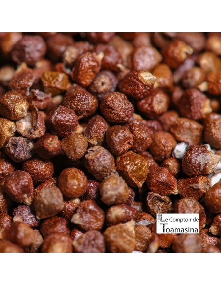 Maniguette - Semente do Paraíso