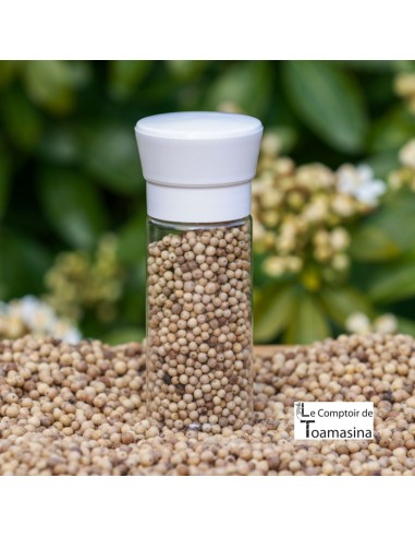 White Kampot Pepper IGP