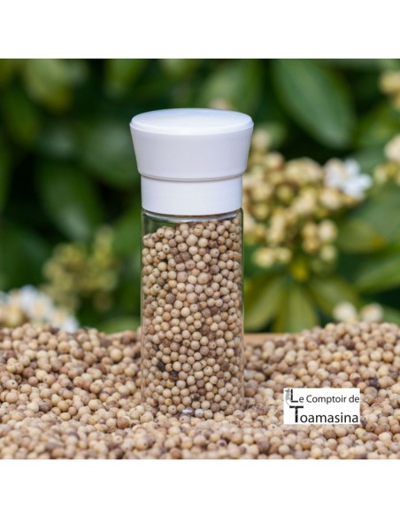 White Kampot Pepper IGP