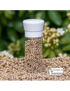 Pimenta Branca de Penja IGP 2